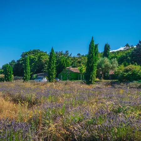 Villa Bergerie De Lussan *
